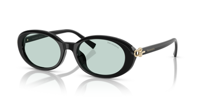 Sonnenbrille Tiffany TF4242D 8001D9 54 19