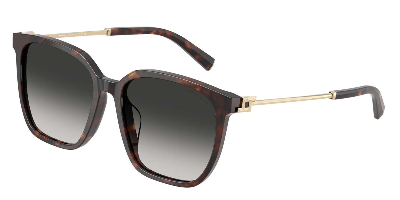 Gafas Graduadas Tiffany TF4244D 80153C 56 17