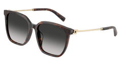 Gafas Graduadas Tiffany TF4244D 80153C 56 17