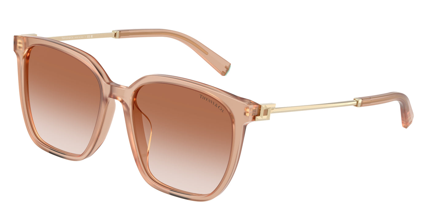 Gafas Graduadas Tiffany TF4244D 826813 56 17