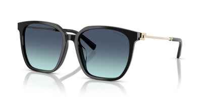 Sunglasses Tiffany TF4244D 80019S 56 17