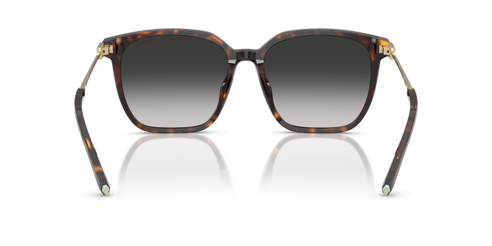 Sunglasses Tiffany TF4244D 80153C 56 17 — Image 4