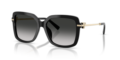 Tiffany TF4252B 80013C 55 16 太阳镜