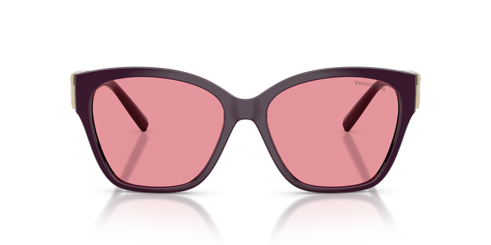 Gafas de Sol Tiffany&Co TF4254U 84279L — vista 2