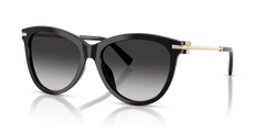 солнцезащитные очки Tiffany&Co TF4258BU 80013C 57 17