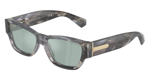 Sunglasses Tiffany&Co TF4265U 845365 54 17 | OpticalH