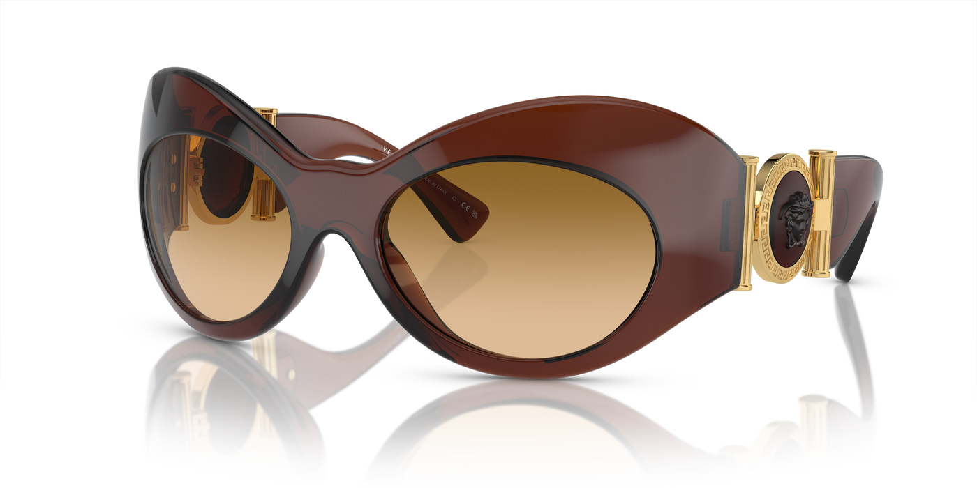 Sunglasses Versace VE4462 54462L 58 20