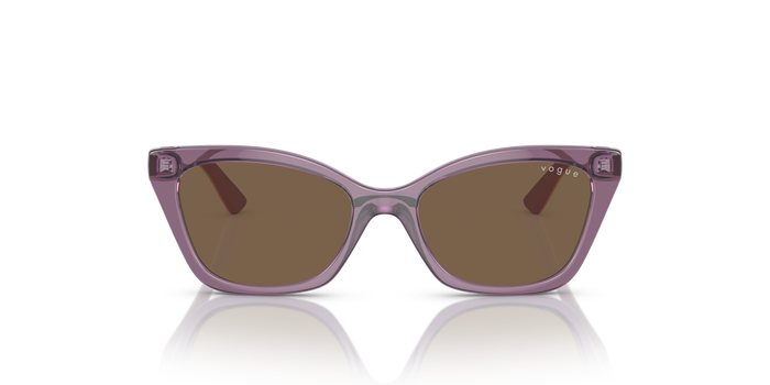 Gafas de Sol Vogue Eyewear Vj2020 VJ2020 306473 48 16 — vista 5