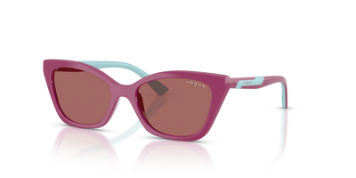 Gafas de Sol Vogue Eyewear Vj2020 VJ2020 321169 48 16