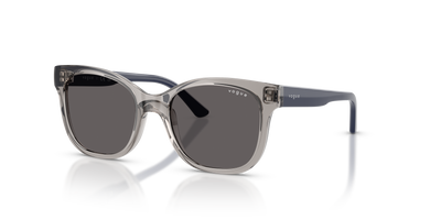 Sunglasses Vogue Eyewear Vj2023 VJ2023 272687 47 17