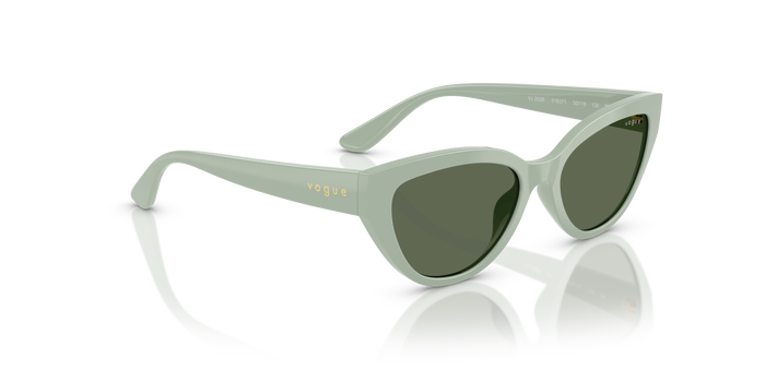 Sunglasses Vogue Eyewear Vj2026 VJ2026 318371 50 16 — vista 4