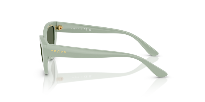 Sunglasses Vogue Eyewear Vj2026 VJ2026 318371 50 16 — vista 2