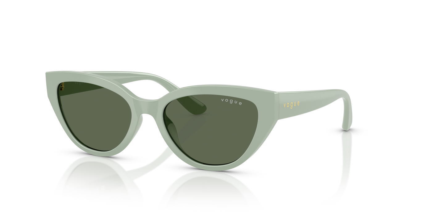 Sunglasses Vogue Eyewear Vj2026 VJ2026 318371 50 16