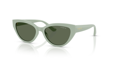 Sunglasses Vogue Eyewear Vj2026 VJ2026 318371 50 16