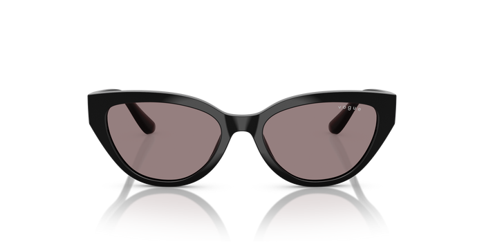 Sunglasses Vogue Eyewear Vj2026 VJ2026 W44/7N 50 16 — vista 5