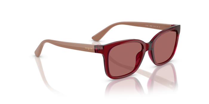 Gafas de Sol Vogue Eyewear Vj2027 VJ2027 306669 49 16 — vista 4