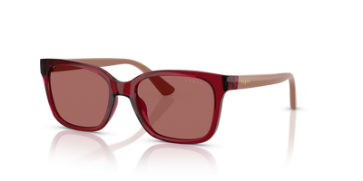 Sonnenbrille Vogue Eyewear Vj2027 VJ2027 306669 49 16
