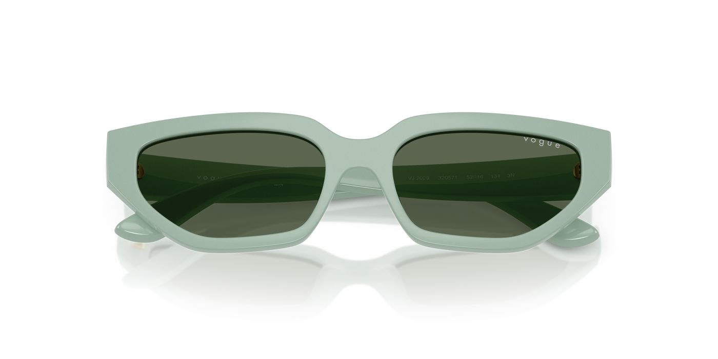 Gafas de Sol Vogue Eyewear Vj2029 VJ2029 320571 52 16 · vista 6