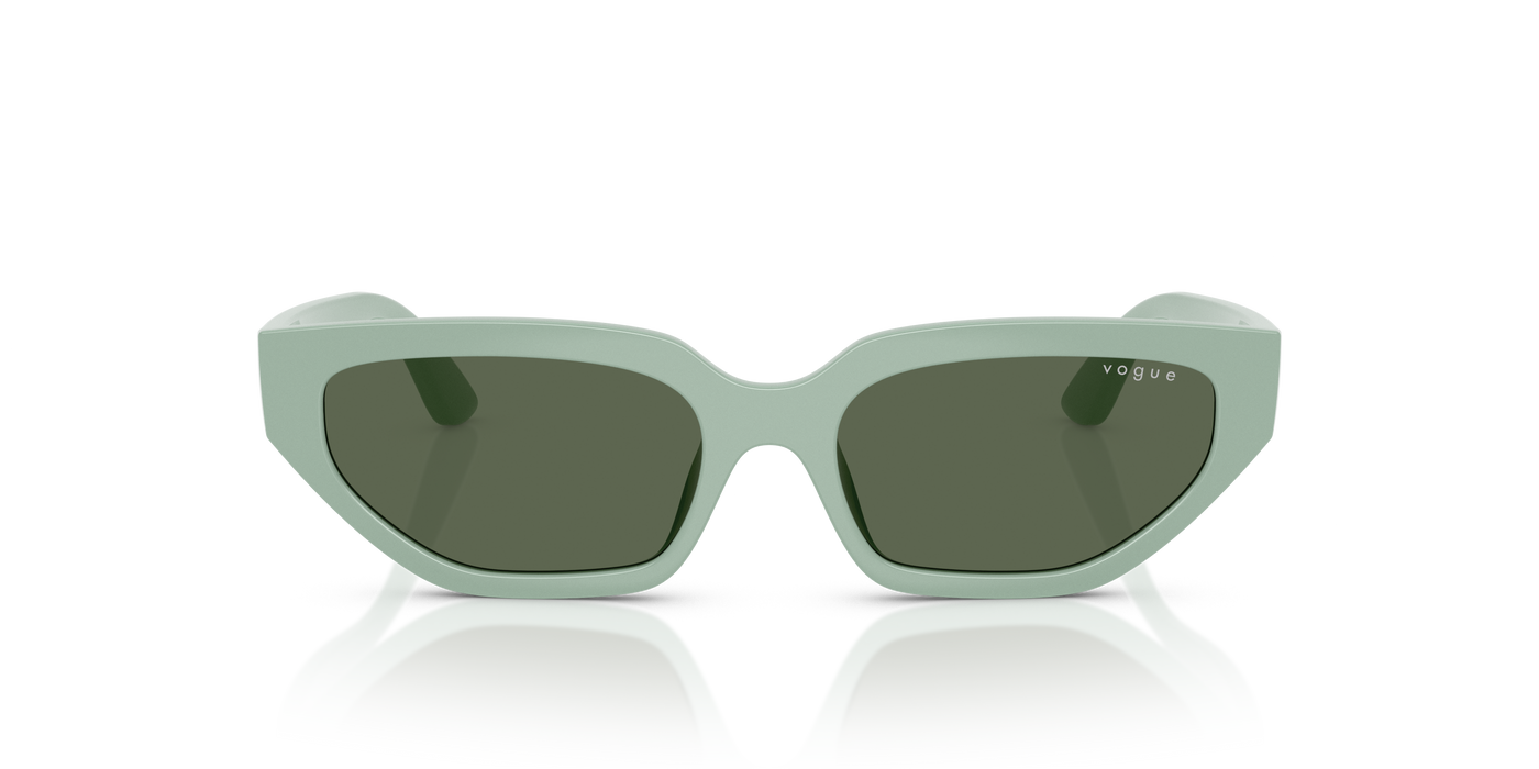 Gafas de Sol Vogue Eyewear Vj2029 VJ2029 320571 52 16 · vista 5