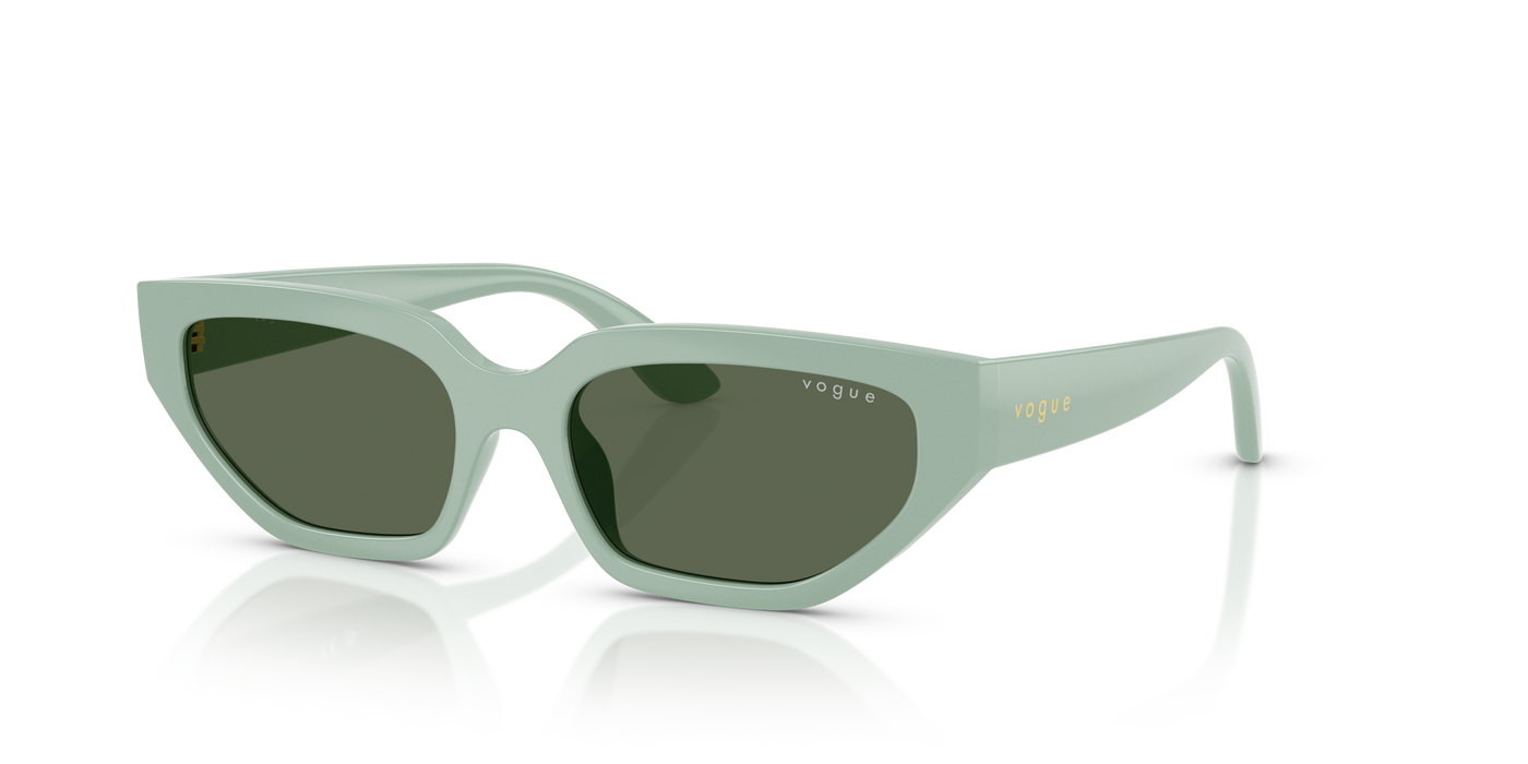 Солнцезащитные очки Vogue Eyewear Vj2029 VJ2029 320571 52 16