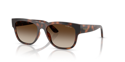 Sunglasses Vogue Eyewear Vj2030 VJ2030 271813 52 16