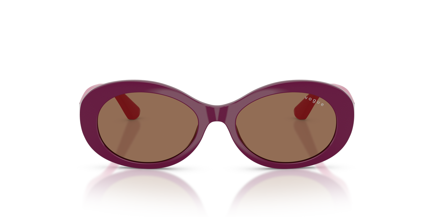 Gafas de Sol Vogue Eyewear Vj2032 VJ2032 321373 49 16 · vista 5