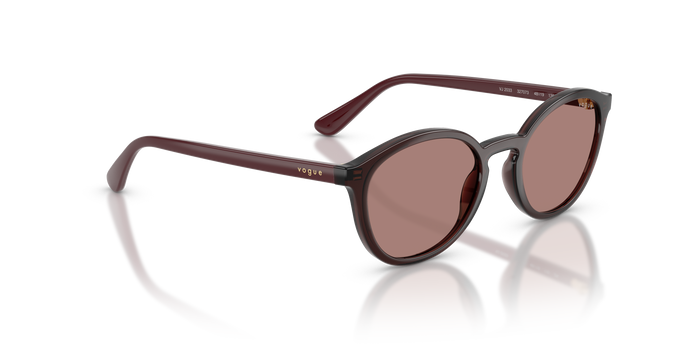 Солнцезащитные очки Vogue Eyewear VJ2033 327073 48 19 — vista 4