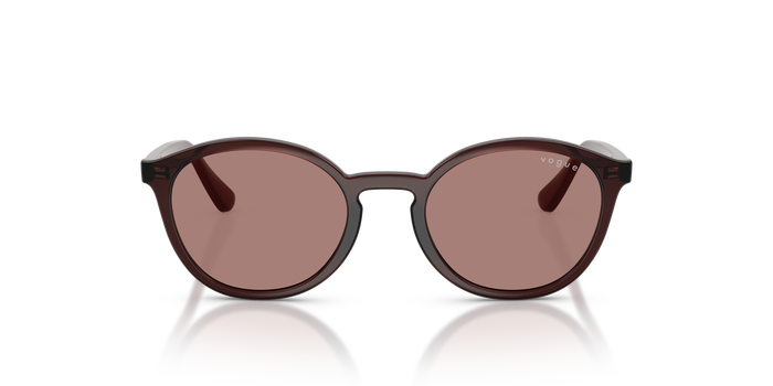 Солнцезащитные очки Vogue Eyewear VJ2033 327073 48 19 — vista 5