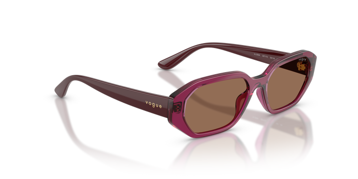 Солнцезащитные очки Vogue Eyewear VJ2034 327173 52 16 — vista 4
