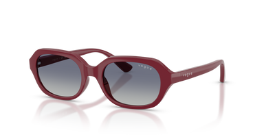 太阳镜 Vogue Eyewear VJ2035 28754L 48 17