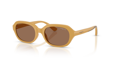 太阳镜 Vogue Eyewear VJ2035 327373 48 17