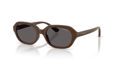 太阳镜 Vogue Eyewear VJ2035 327587 48 17