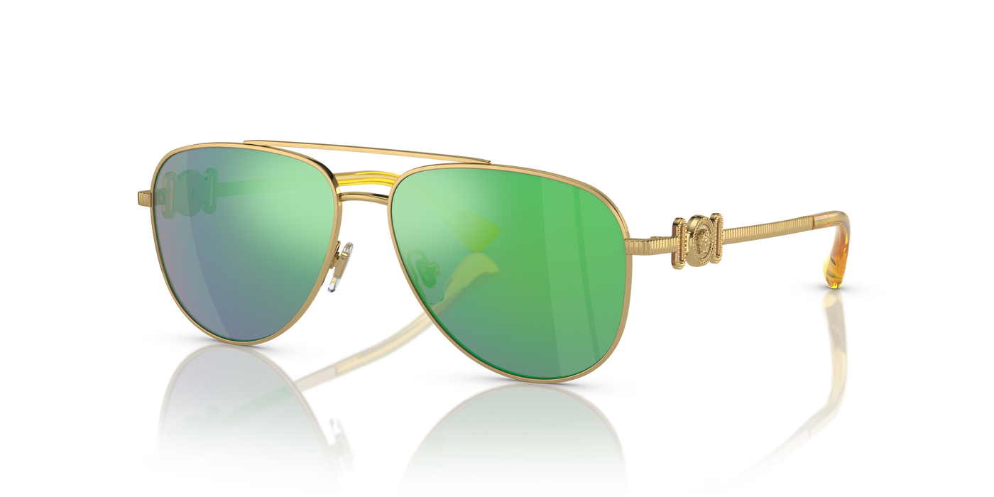 Gafas de Sol Versace VK2002 10023R 52 13