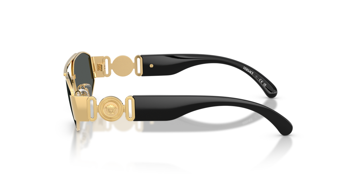 Sonnenbrille Versace VK2003 100287 50 13