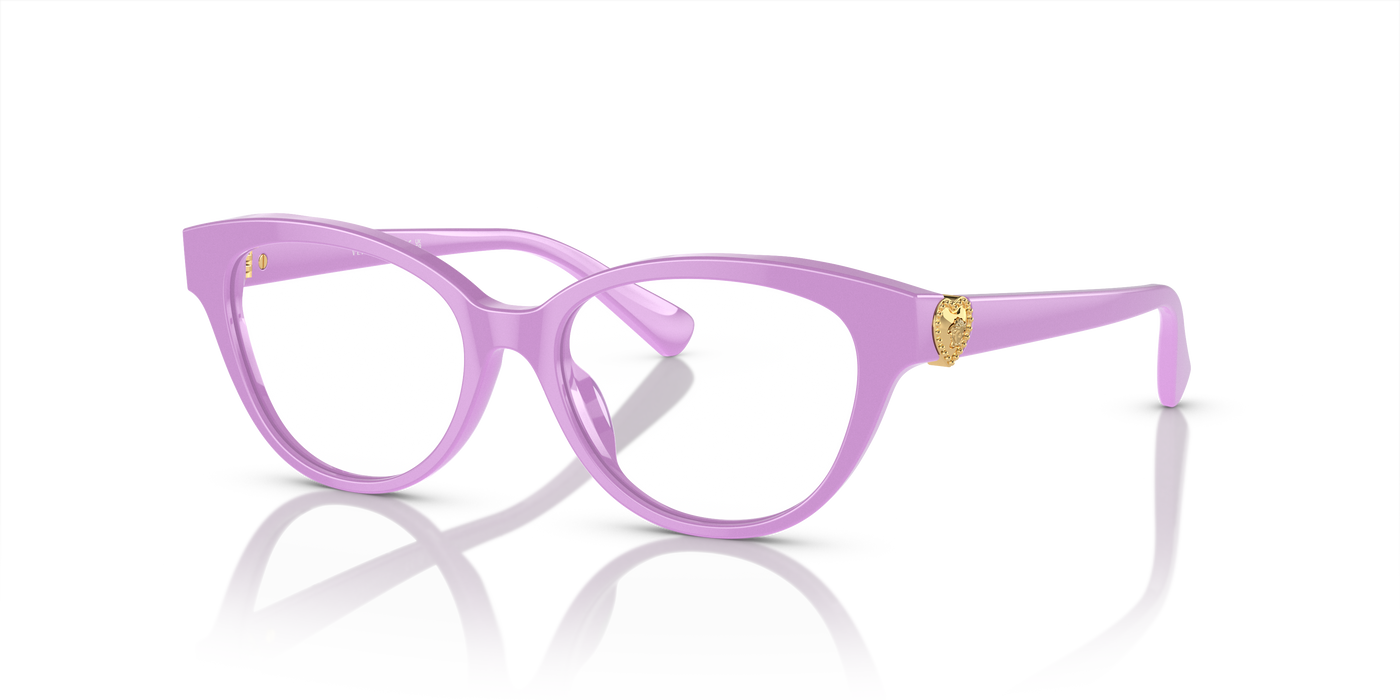 Gafas de Sol Versace VK3004 5424 48 15