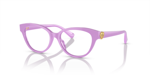 Gafas de Sol Versace VK3004 5424 48 15