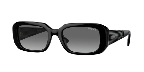 Vogue Eyewear VO5565S W44/11 53 19 太阳镜