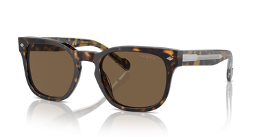 Sunglasses Vogue Eyewear VO5571S W65673 53 21