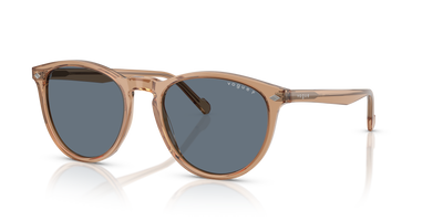 Gafas de Sol Vogue Eyewear VO5599S 31894Y 53 19