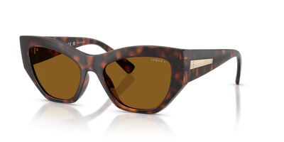 Gafas de Sol Vogue Eyewear VO5607S 271883 53 18