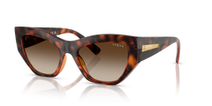 Sunglasses Vogue Eyewear VO5607S W65613 53 18