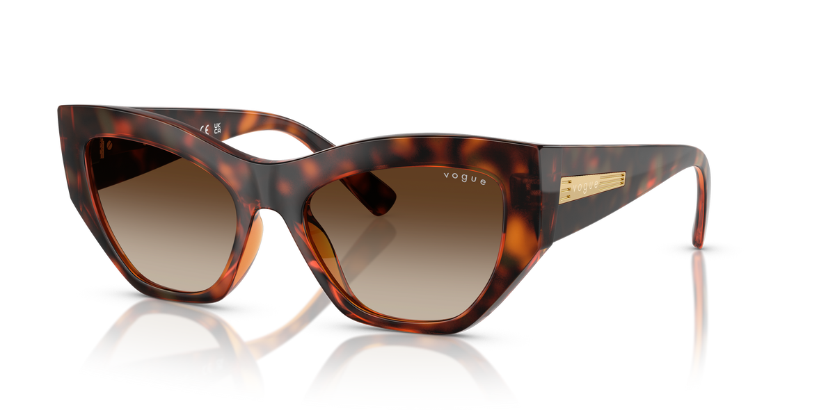 Sunglasses Vogue Eyewear VO5607S W65613 53 18
