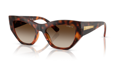 Gafas de Sol Vogue Eyewear VO5607S W65613 53 18
