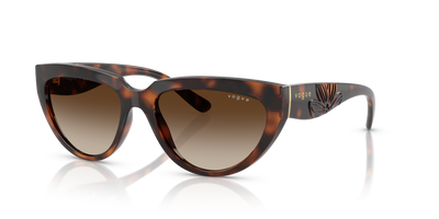 Gafas de Sol Vogue Eyewear VO5629S 271813 54 17
