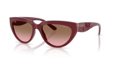 Gafas de Sol Vogue Eyewear VO5629S 304814 54 17