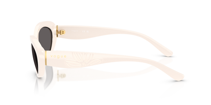 Vogue Eyewear VO5630S 312487 55 16 太阳镜 — 图片 3