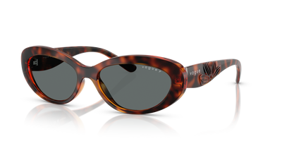 Gafas de Sol Vogue Eyewear VO5630S W65681 55 16