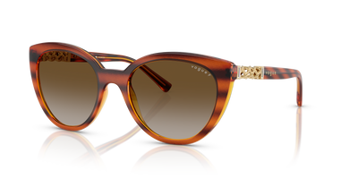 Sonnenbrille Vogue Eyewear VO5634SB 1508T5 53 19