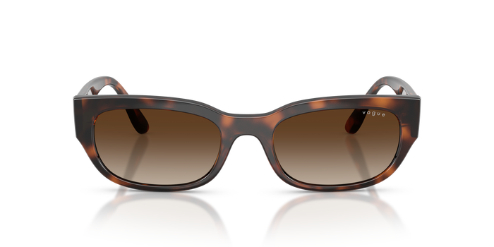 Солнцезащитные очки Vogue Eyewear VO5669S 271813 54 20 — Изображение 2