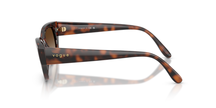 Солнцезащитные очки Vogue Eyewear VO5669S 271813 54 20 — Изображение 3